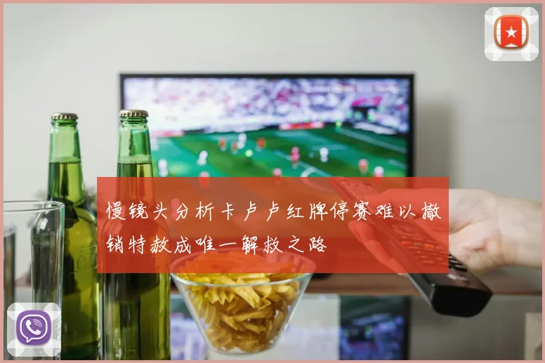 慢镜头分析卡卢卢红牌停赛难以撤销特赦成唯一解救之路